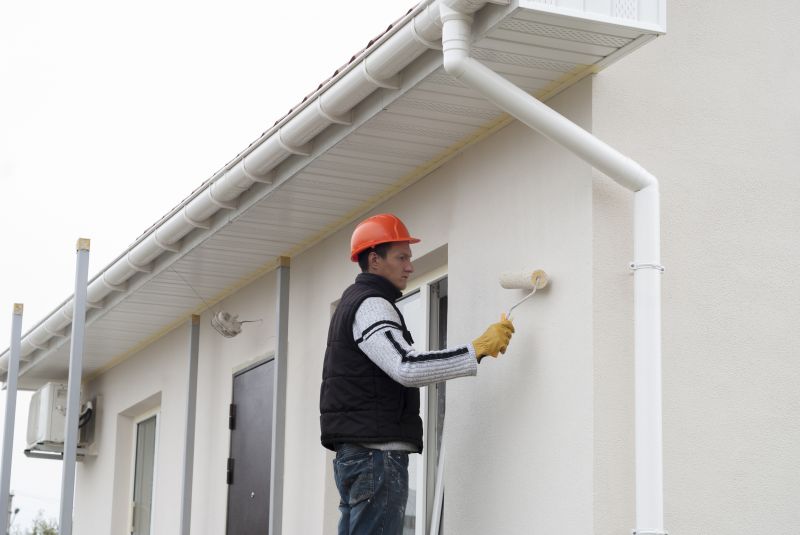 Exterior Cladding Painting