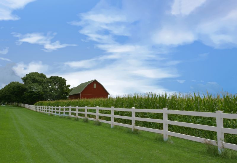 Best Fence Painting Contractors in Farmington, MN